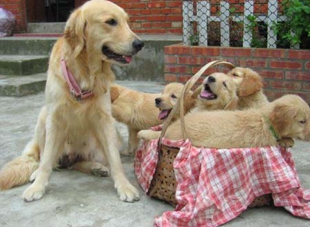 1380944499-1202077557