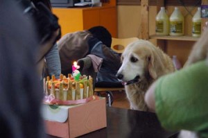 1380944499-1650348393