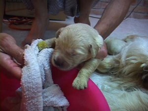 1380944499-2078493446