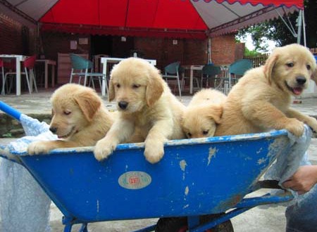 1380944500-1043165313