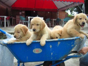 1380944500-1043165313