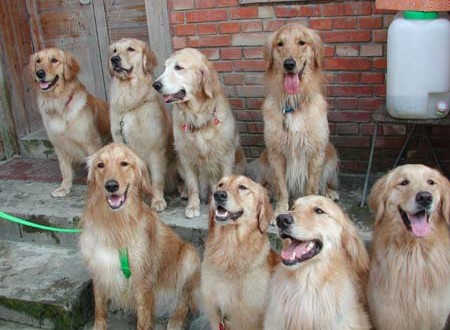 1380944501-2650930615