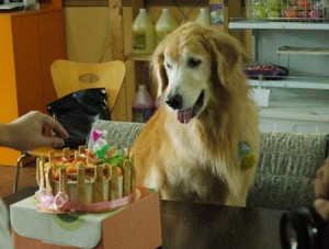 1380944502-1772909073