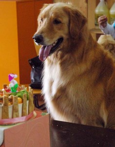 1380944502-3490536955