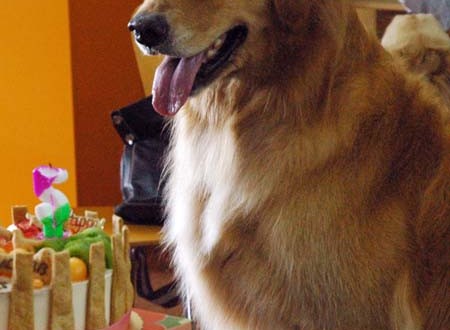 1380944502-3490536955