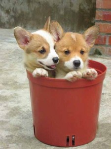 1380944502-727970912