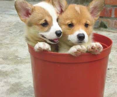 1380944502-727970912