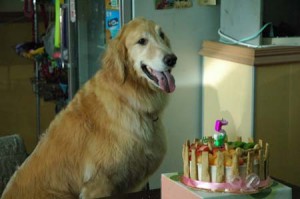 1380944503-893535601