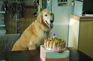 1380944504-1077469600