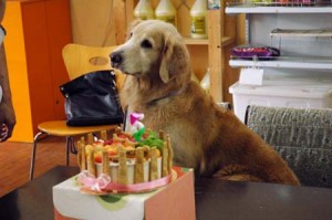 1380944504-446137193