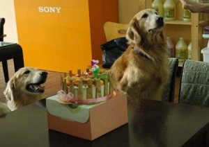 1380944504-583782600