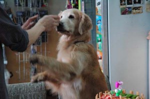 1380944505-2776409343