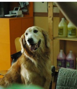 1380944505-3134040015