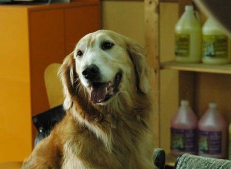 1380944505-3134040015