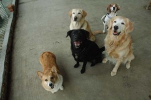 1380944506-1051527218