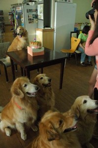 1380944506-2953147504