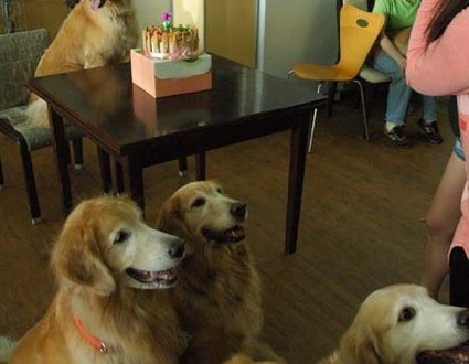 1380944506-2953147504