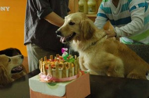 1380944506-653693955