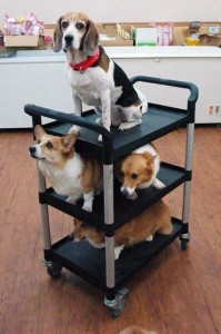 1380944521-462976506