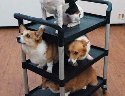 1380944521-462976506