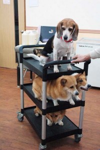 1380944522-279297740