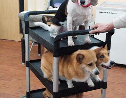 1380944522-279297740