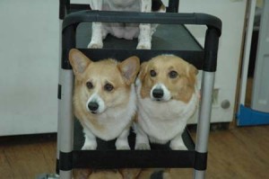 1380944522-3972954796