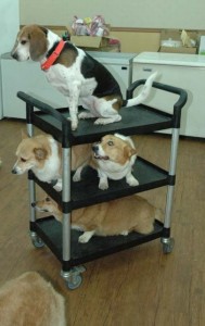 1380944522-417605294