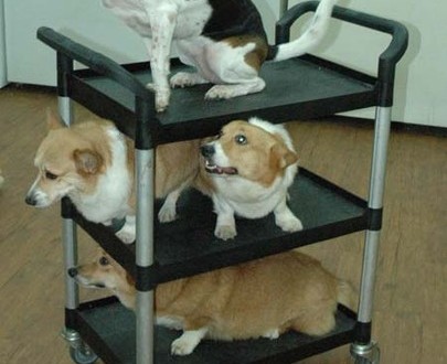 1380944522-417605294