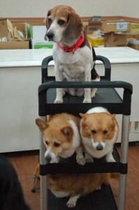 1380944523-2000937655