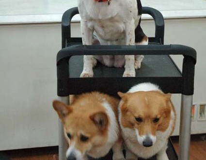 1380944523-2000937655