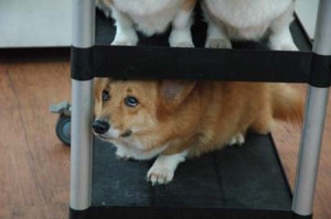 1380944523-3506502285