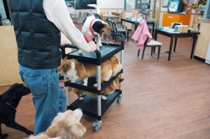 1380944524-1247040220