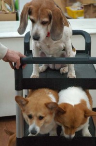 1380944524-2401744617