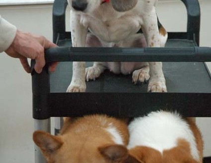 1380944524-2401744617