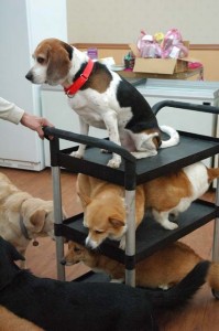 1380944524-768094474