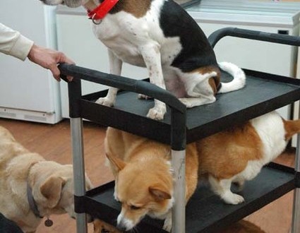 1380944524-768094474