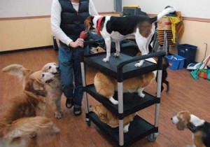 1380944525-3365776695