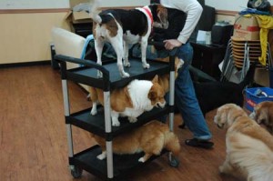 1380944525-3655027512