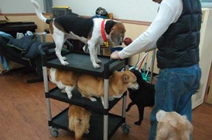 1380944526-119222861