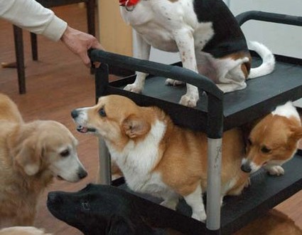 1380944526-1815210909