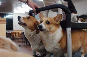 1380944527-1609704312