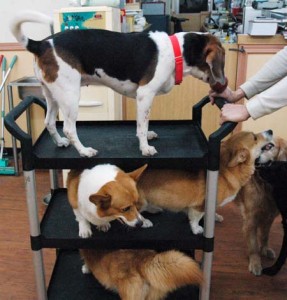 1380944527-877911401