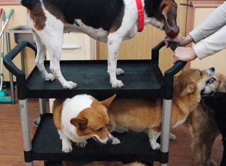 1380944527-877911401