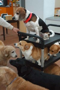 1380944528-2427124314