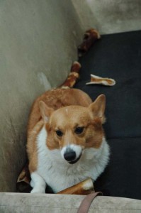 1380944529-437084774