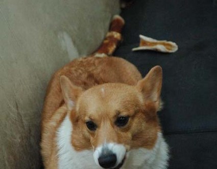 1380944529-437084774