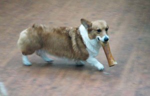 1380944530-1355380951