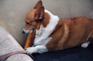 1380944530-3111809874