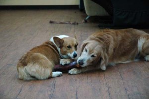 1380944530-3853328267